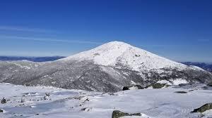 7th Math Warm-up Scale Drawing & Circles